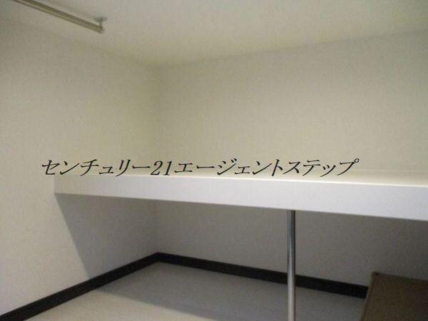 収納(ウォークインクローゼット)