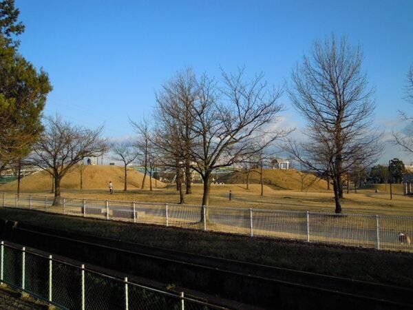 現地からの眺望(城東公園)