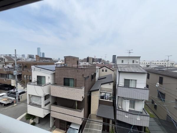 現地からの眺望