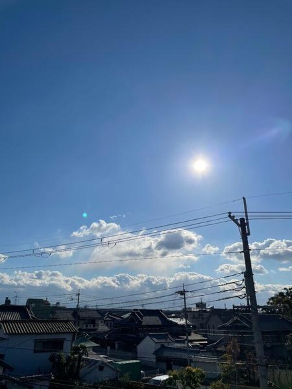 現地からの眺望