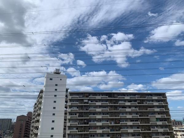 現地からの眺望