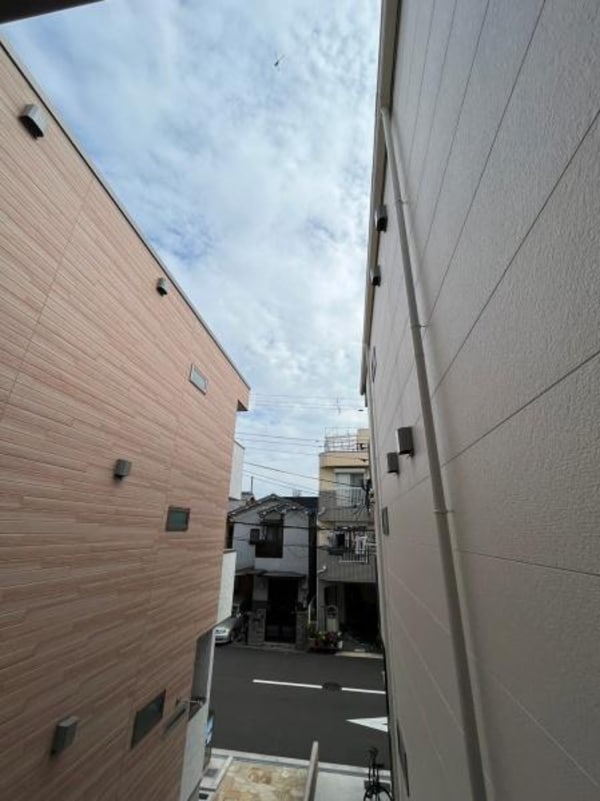 現地からの眺望