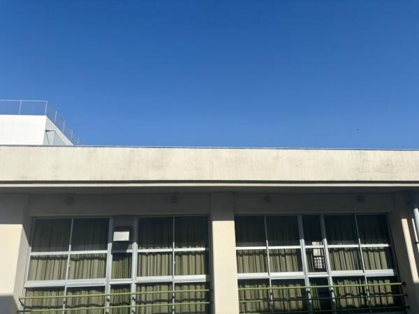 現地からの眺望