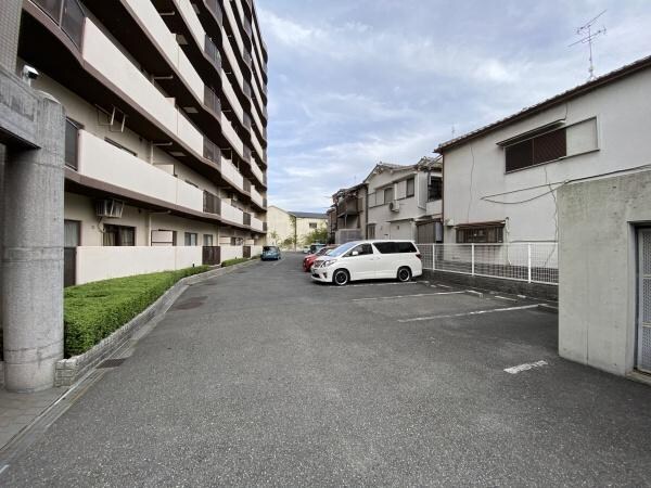 現地からの眺望