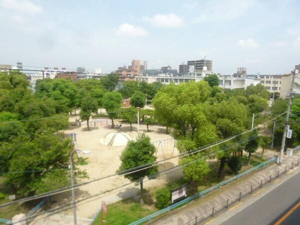 現地からの眺望(公園でお散歩出来ますよ！)