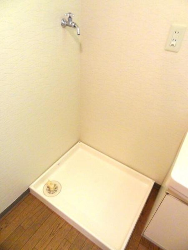 洗面台・洗面所(洗濯機はここ)