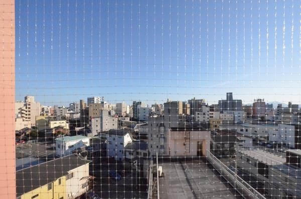 現地からの眺望