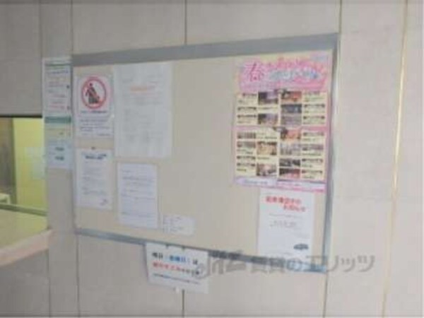 掲示板
