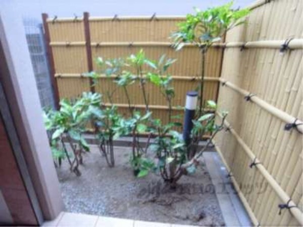 植栽