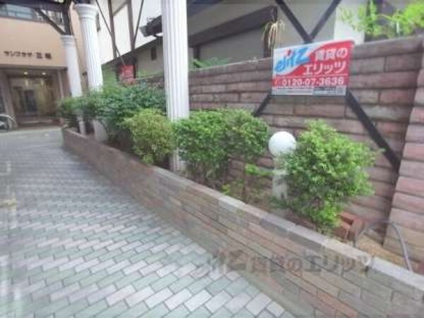植栽