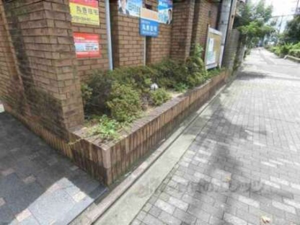 植栽