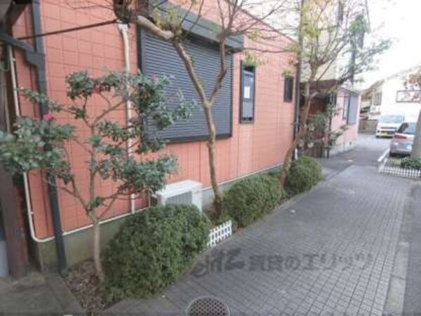 植栽