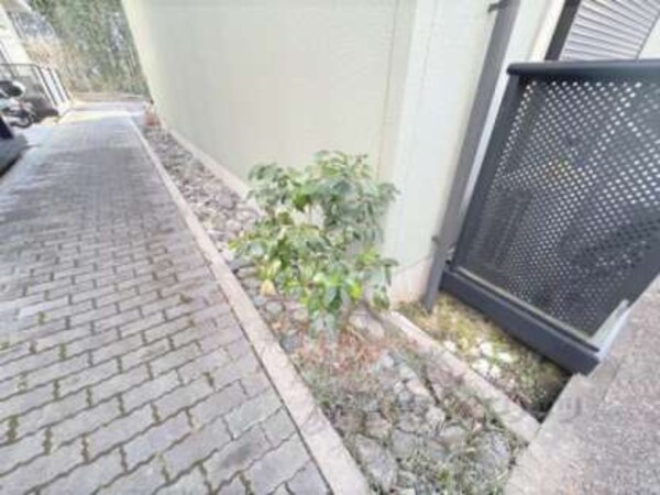 植栽