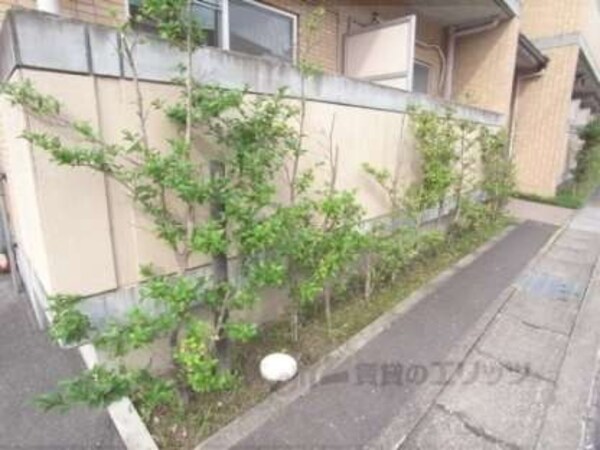 植栽