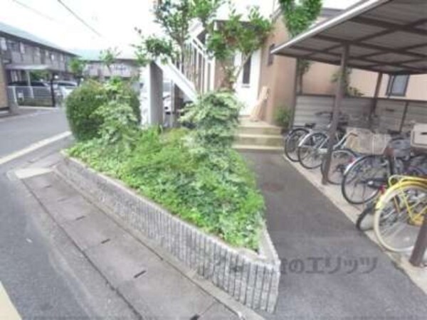 植栽