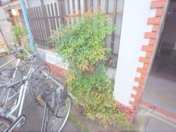 植栽