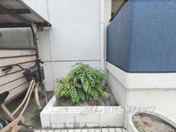 植栽