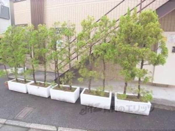 植栽