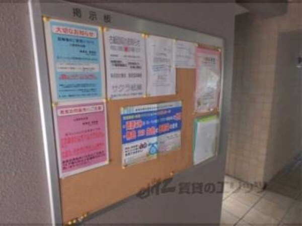 掲示板