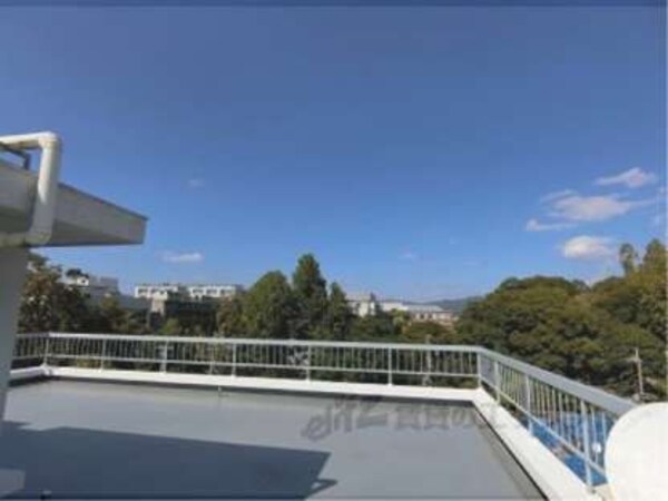 屋上