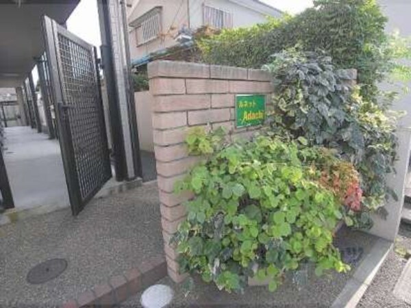 植栽