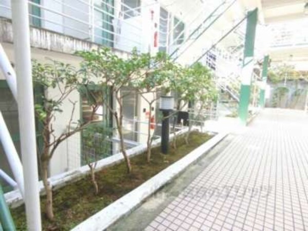 植栽