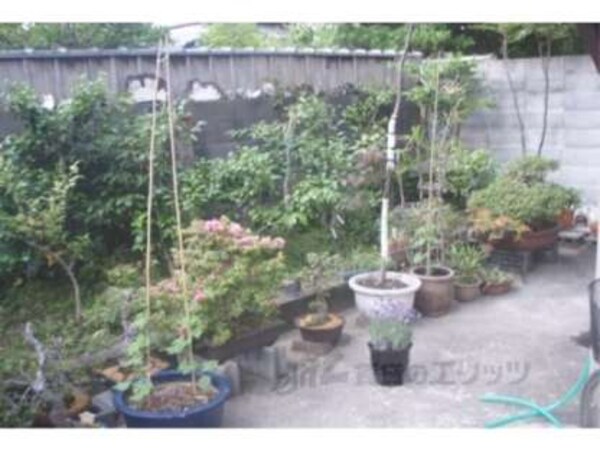 植栽