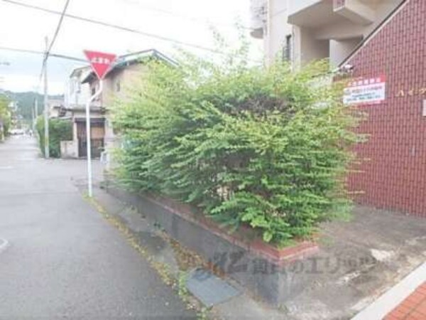 植栽