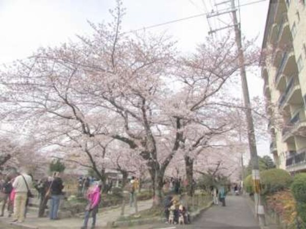 近隣風景
