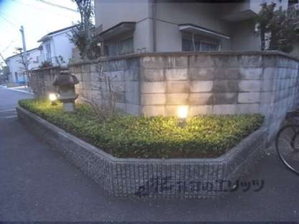 植栽