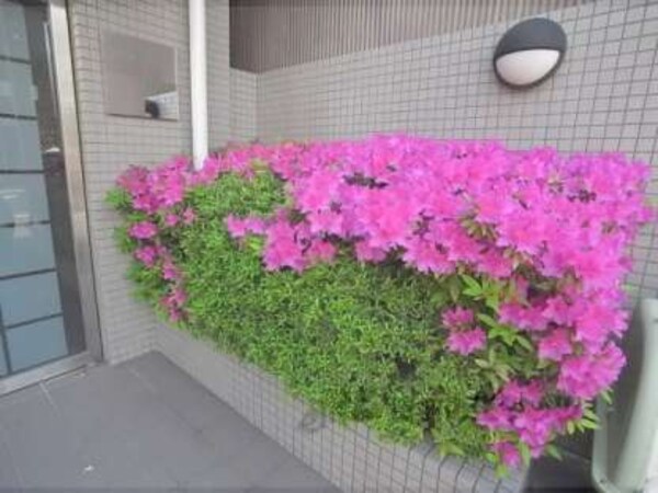 植栽
