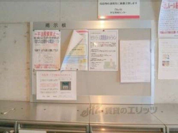 掲示板