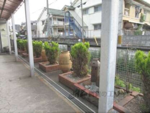 植栽