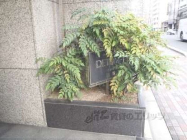 植栽