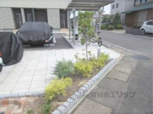 植栽
