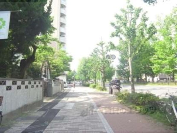 前面道路
