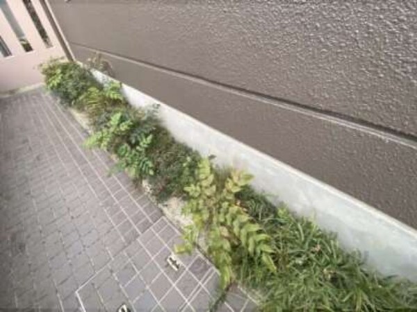 植栽