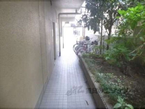 通路