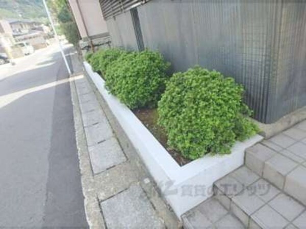 植栽