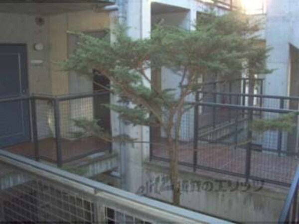 植栽