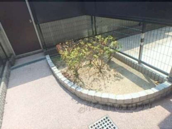 植栽