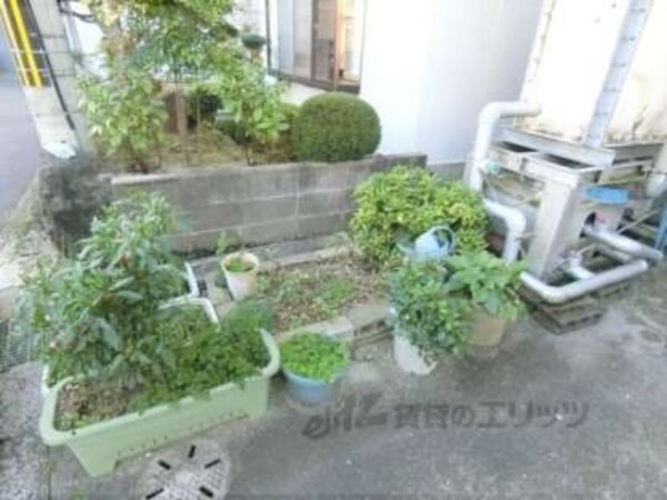 植栽