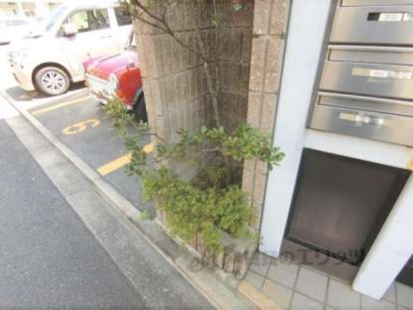 植栽