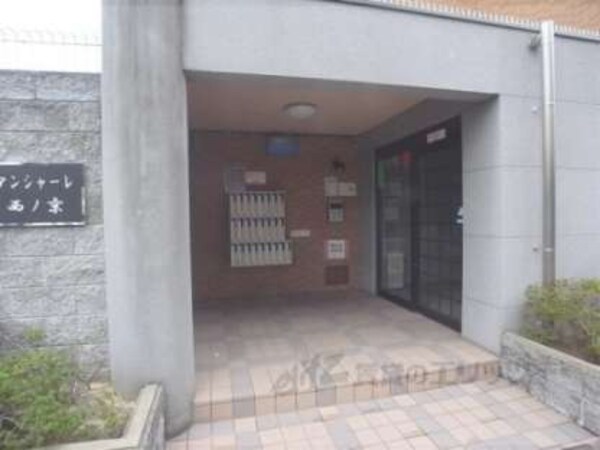 正面