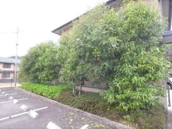 植栽