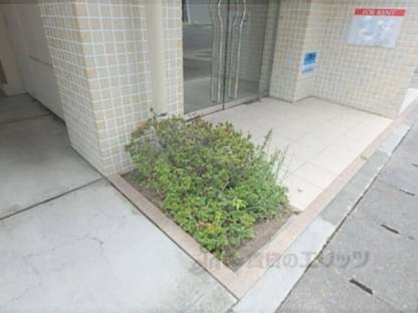 植栽