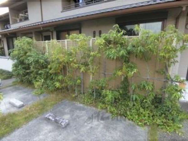 植栽