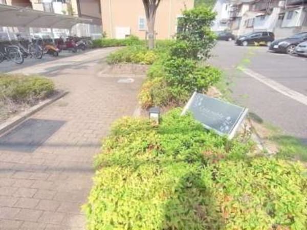 植栽