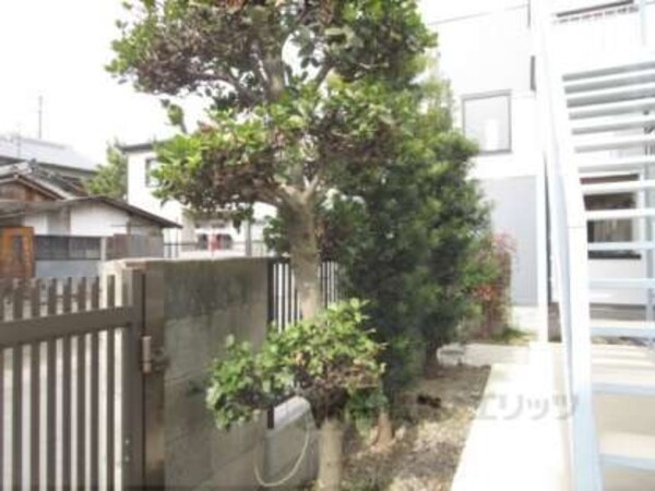 植栽
