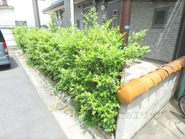 植栽